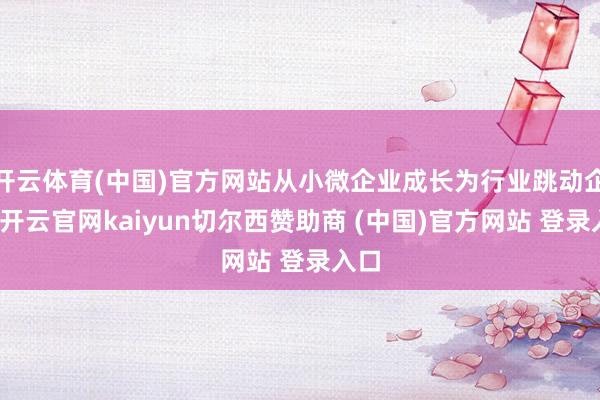 开云体育(中国)官方网站从小微企业成长为行业跳动企业-开云官网kaiyun切尔西赞助商 (中国)官方网站 登录入口