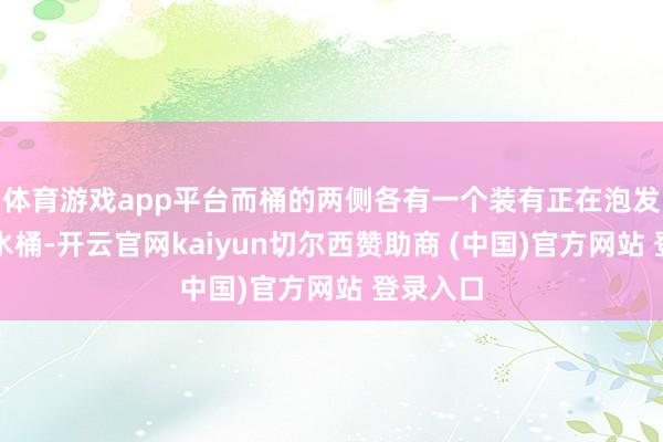 体育游戏app平台而桶的两侧各有一个装有正在泡发食材的水桶-开云官网kaiyun切尔西赞助商 (中国)官方网站 登录入口