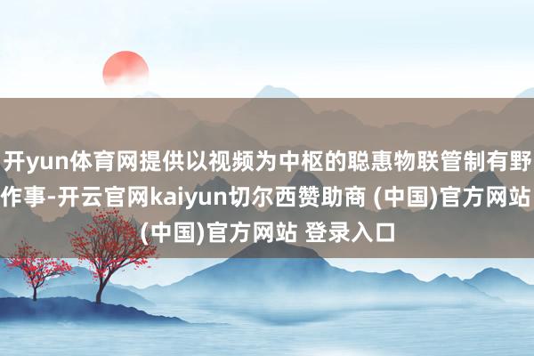 开yun体育网提供以视频为中枢的聪惠物联管制有野心及运营作事-开云官网kaiyun切尔西赞助商 (中国)官方网站 登录入口