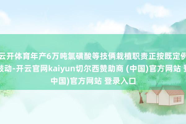 云开体育年产6万吨氯磺酸等技俩栽植职责正按既定例划有序鼓动-开云官网kaiyun切尔西赞助商 (中国)官方网站 登录入口