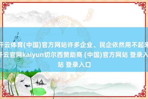 开云体育(中国)官方网站许多企业、民企依然用不起来-开云官网kaiyun切尔西赞助商 (中国)官方网站 登录入口