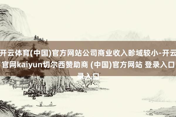 开云体育(中国)官方网站公司商业收入畛域较小-开云官网kaiyun切尔西赞助商 (中国)官方网站 登录入口
