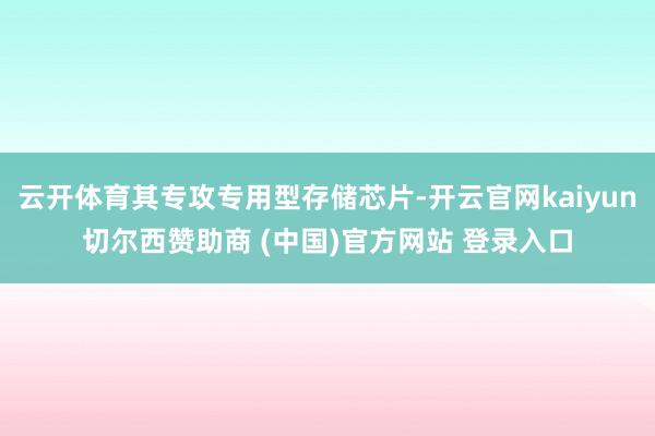 云开体育其专攻专用型存储芯片-开云官网kaiyun切尔西赞助商 (中国)官方网站 登录入口