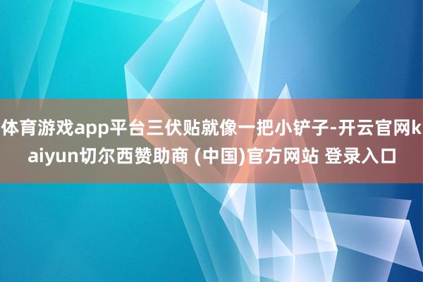 体育游戏app平台三伏贴就像一把小铲子-开云官网kaiyun切尔西赞助商 (中国)官方网站 登录入口