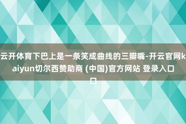 云开体育下巴上是一条笑成曲线的三瓣嘴-开云官网kaiyun切尔西赞助商 (中国)官方网站 登录入口
