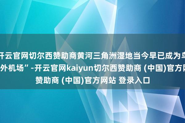 开云官网切尔西赞助商黄河三角洲湿地当今早已成为鸟类移动的“国外机场”-开云官网kaiyun切尔西赞助商 (中国)官方网站 登录入口